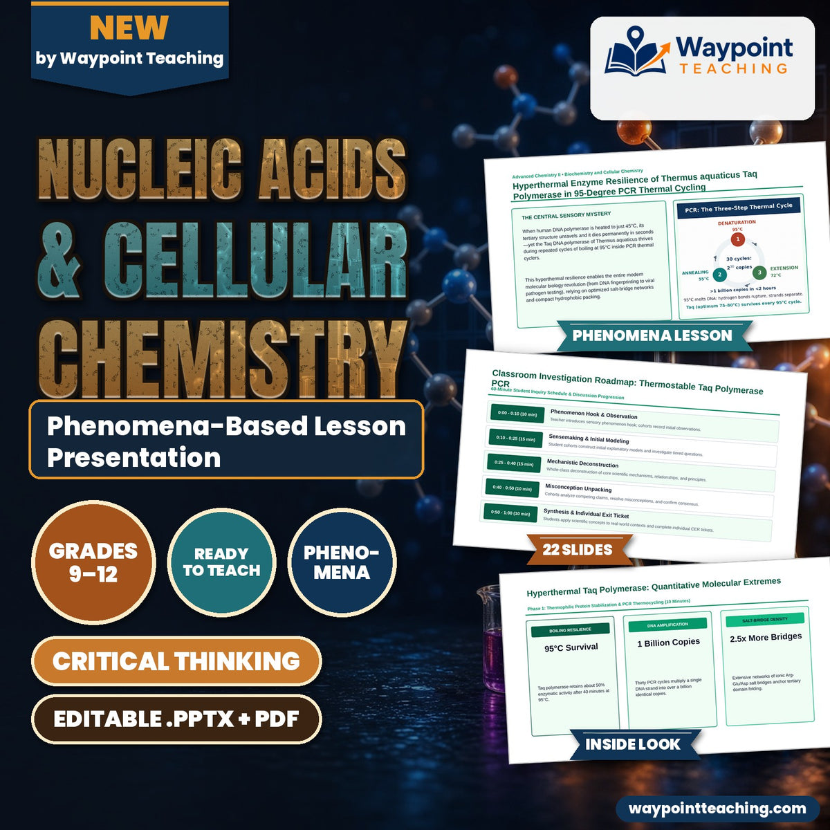 Nucleic Acids & Cellular Chemistry Phenomena-Based Lesson: Hyperthermal Enzyme Resilience of Thermus aquaticus Taq Polymerase in 95-Degree PCR Thermal Cycling Presentation cover