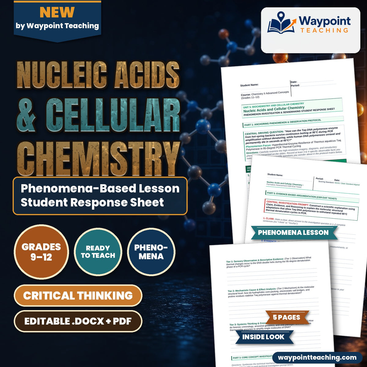 Nucleic Acids & Cellular Chemistry Phenomena-Based Lesson: Hyperthermal Enzyme Resilience of Thermus aquaticus Taq Polymerase in 95-Degree PCR Thermal Cycling Student Response Sheet cover