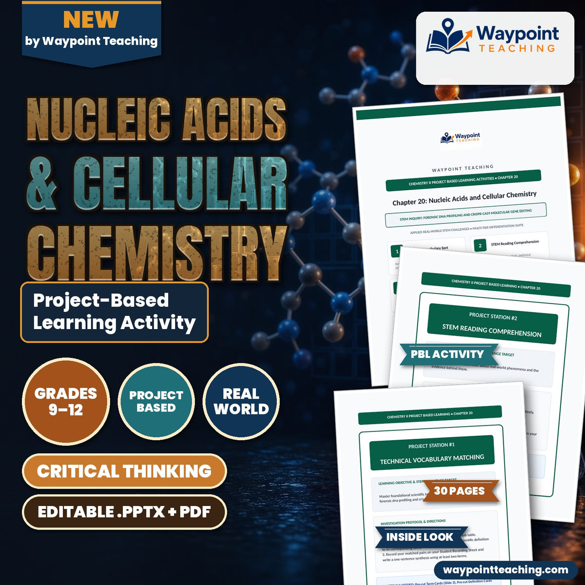 Nucleic Acids & Cellular Chemistry Project-Based Learning Activity cover
