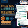 Nucleic Acids & Cellular Chemistry Scaffolded Phenomena-Based Lesson: Hyperthermal Enzyme Resilience of Thermus aquaticus Taq Polymerase in 95-Degree PCR Thermal Cycling Presentation cover