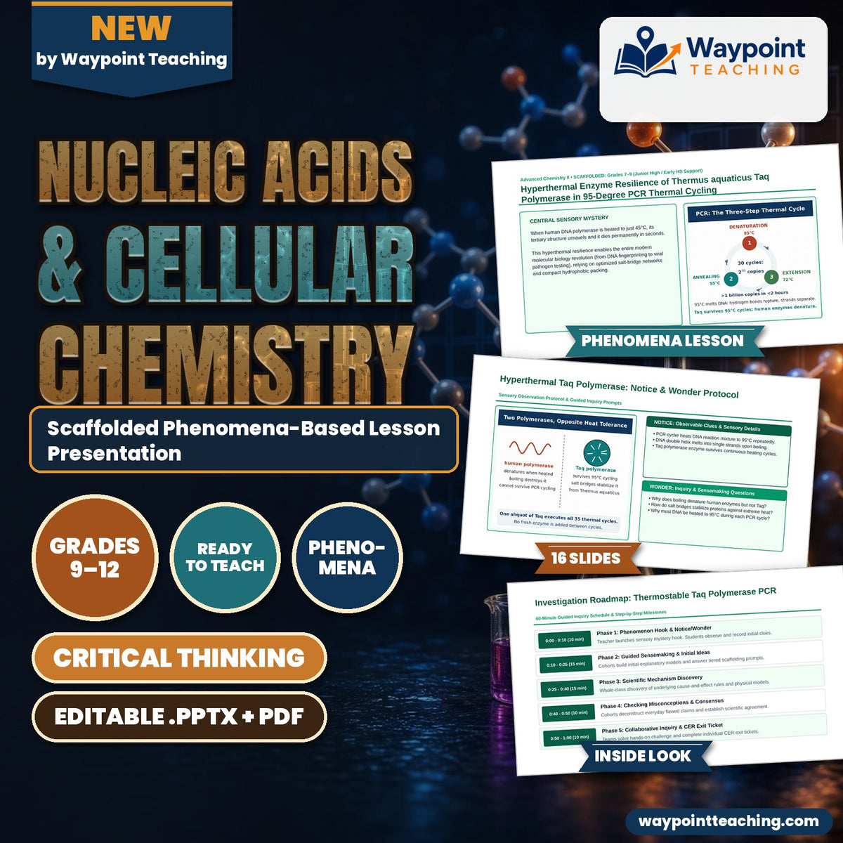 Nucleic Acids & Cellular Chemistry Scaffolded Phenomena-Based Lesson: Hyperthermal Enzyme Resilience of Thermus aquaticus Taq Polymerase in 95-Degree PCR Thermal Cycling Presentation cover