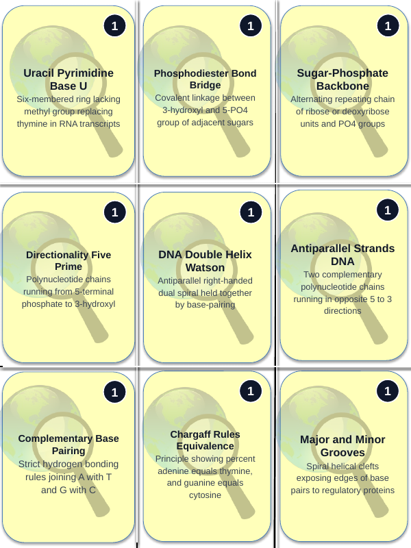 Nucleic Acids & Cellular Chemistry Trivia Board Game sample page