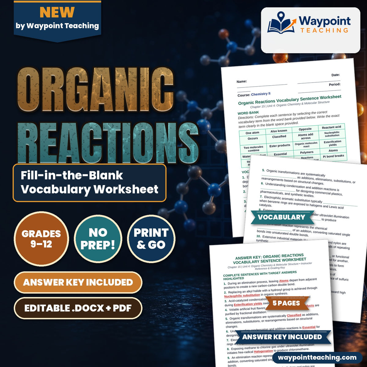 Organic Reactions Fill-in-the-Blank Vocabulary Worksheet cover