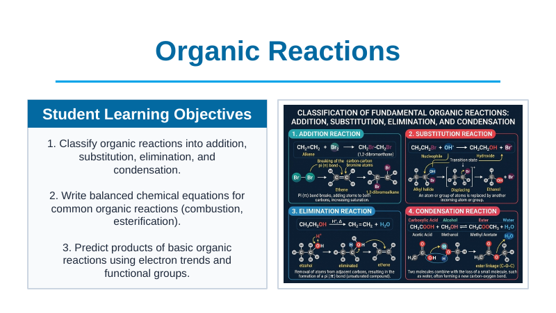 Organic Reactions Slide Show Presentation sample page