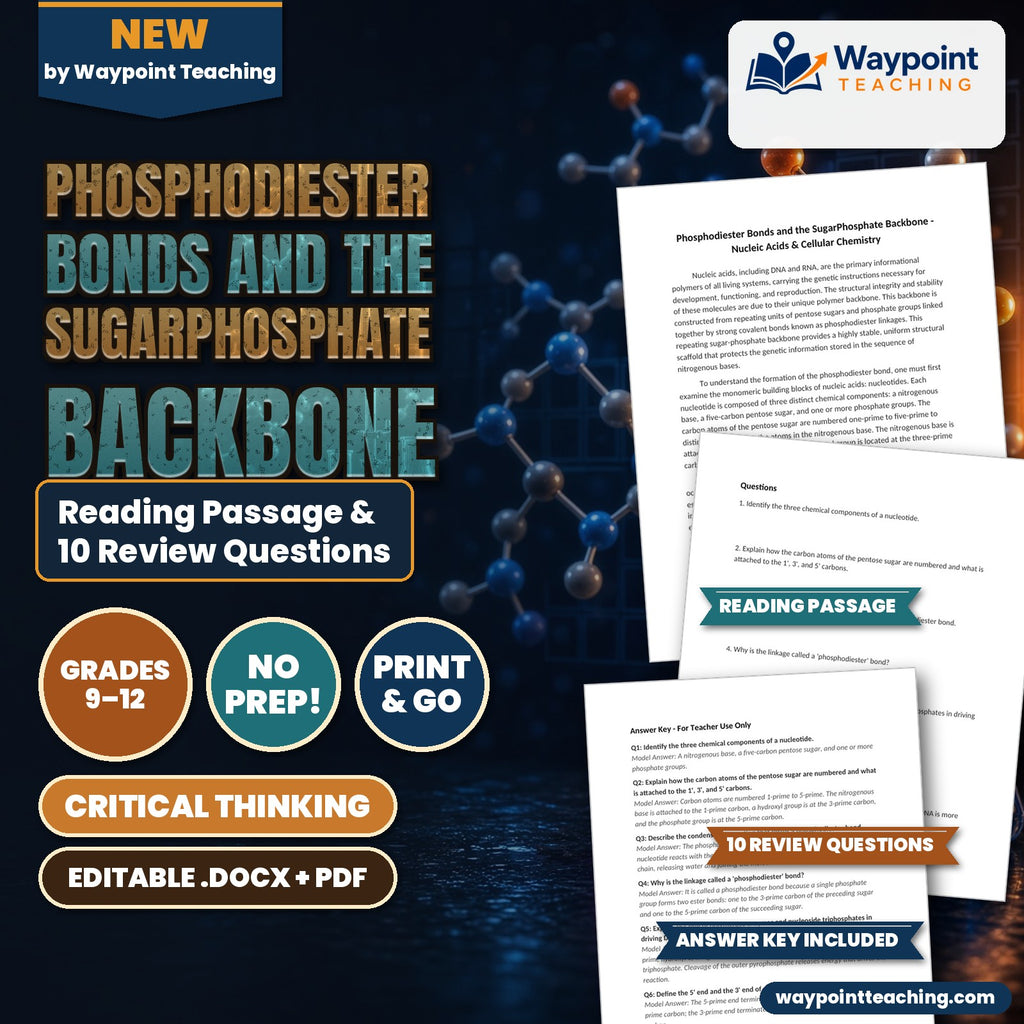 Phosphodiester Bonds and the SugarPhosphate Backbone Reading Worksheet cover