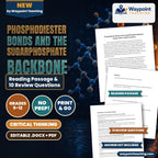 Phosphodiester Bonds and the SugarPhosphate Backbone Reading Worksheet cover