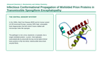 Proteins & Enzymes Phenomena-Based Lesson: Infectious Conformational Propagation of Misfolded Prion Proteins in Transmissible Spongiform Encephalopathy Presentation sample page