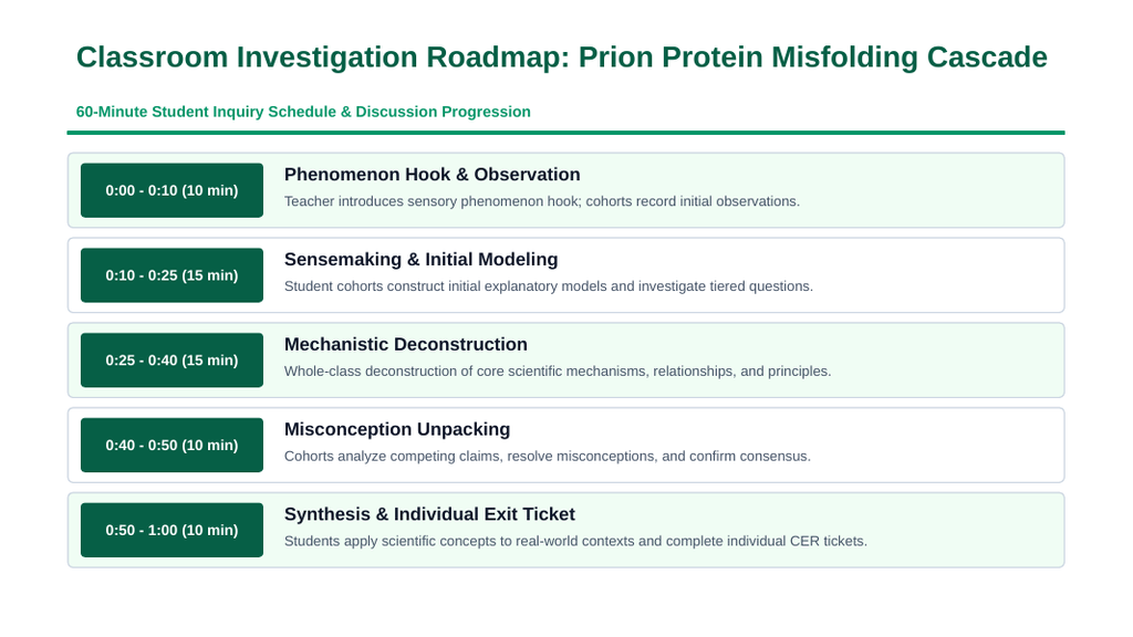 Proteins & Enzymes Phenomena-Based Lesson: Infectious Conformational Propagation of Misfolded Prion Proteins in Transmissible Spongiform Encephalopathy Presentation sample page