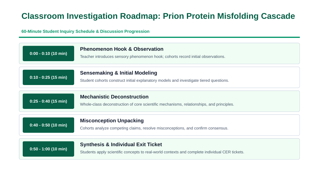 Proteins & Enzymes Phenomena-Based Lesson: Infectious Conformational Propagation of Misfolded Prion Proteins in Transmissible Spongiform Encephalopathy Presentation sample page