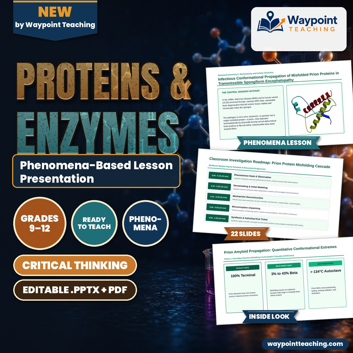 Proteins & Enzymes Phenomena-Based Lesson: Infectious Conformational Propagation of Misfolded Prion Proteins in Transmissible Spongiform Encephalopathy Presentation cover