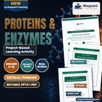 Proteins & Enzymes Project-Based Learning Activity cover
