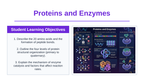 Proteins & Enzymes Slide Show Presentation sample page