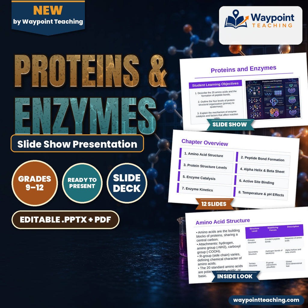 Proteins & Enzymes Slide Show Presentation cover
