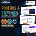 Proteins & Enzymes Slide Show Presentation cover