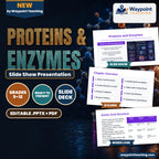 Proteins & Enzymes Slide Show Presentation cover