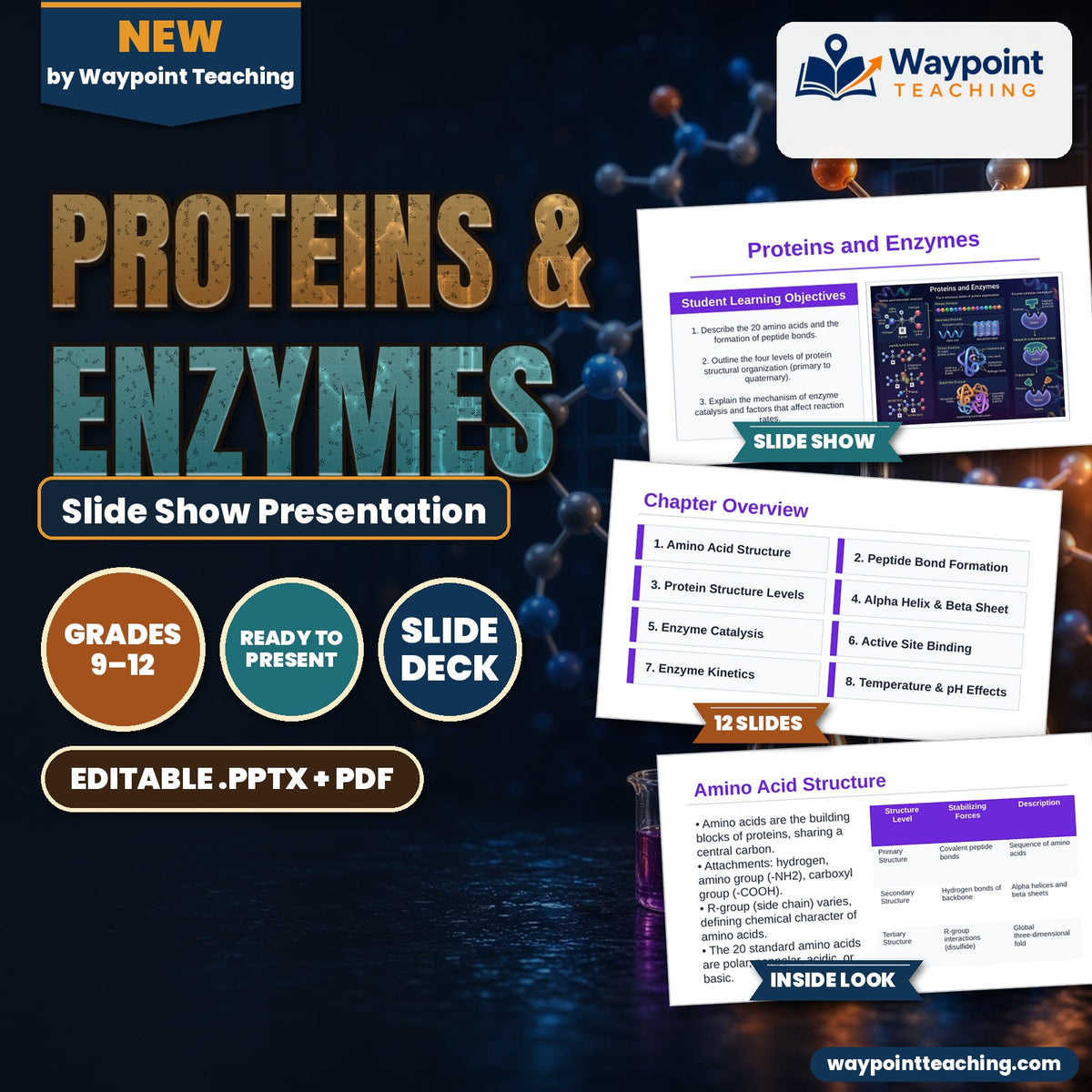 Proteins & Enzymes Slide Show Presentation cover