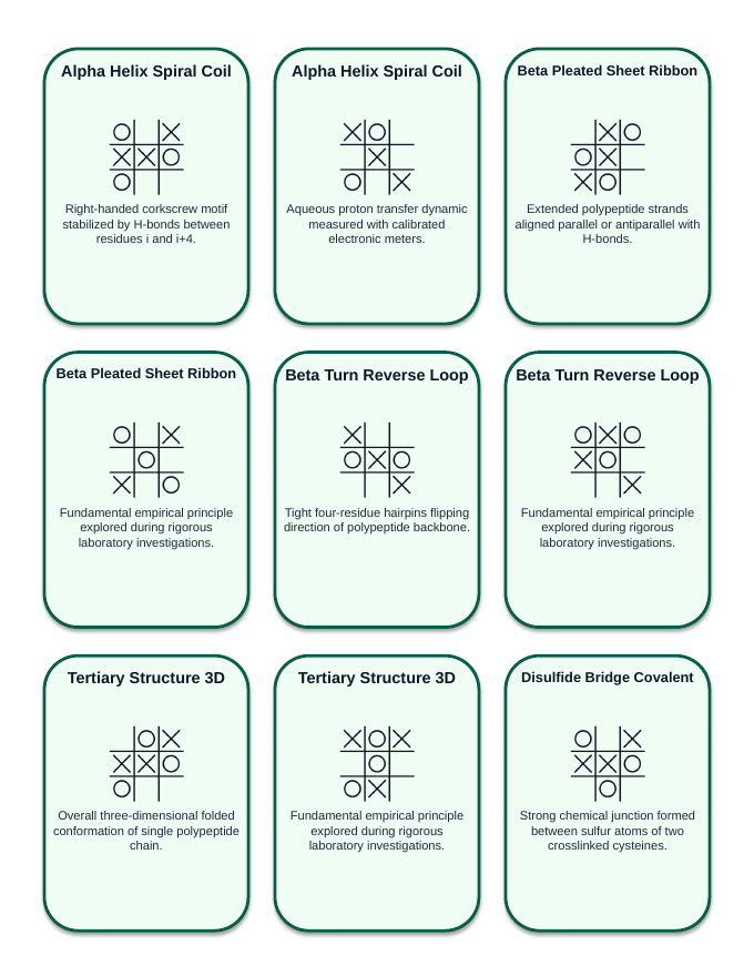 Proteins & Enzymes Tic-Tac-Toe Review Game sample page