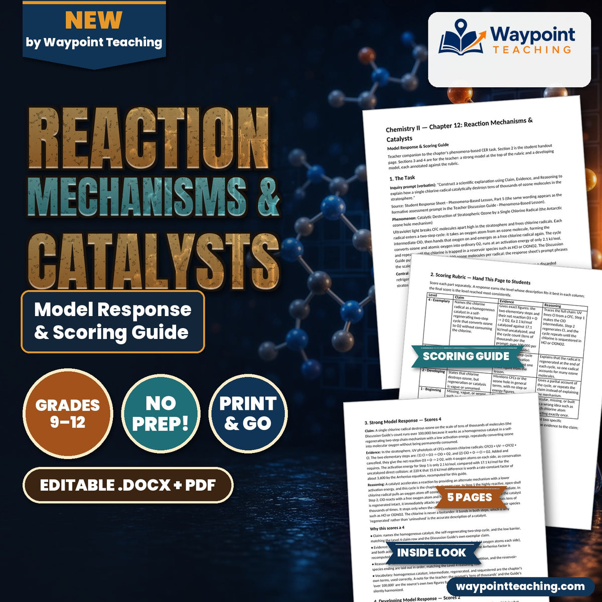 Reaction Mechanisms & Catalysts Model Response & Scoring Guide cover
