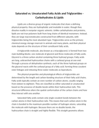 Saturated vs. Unsaturated Fatty Acids and Triglycerides Reading Worksheet sample page