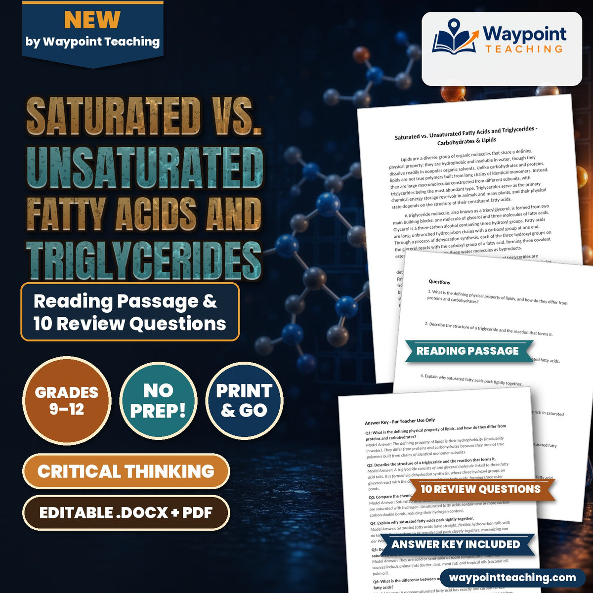 Saturated vs. Unsaturated Fatty Acids and Triglycerides Reading Worksheet cover