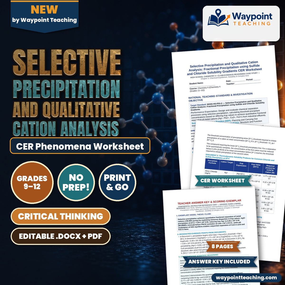 Selective Precipitation and Qualitative Cation Analysis: Fractional Precipitation using Sulfide and Chloride Solubility Gradients CER Phenomena Worksheet cover