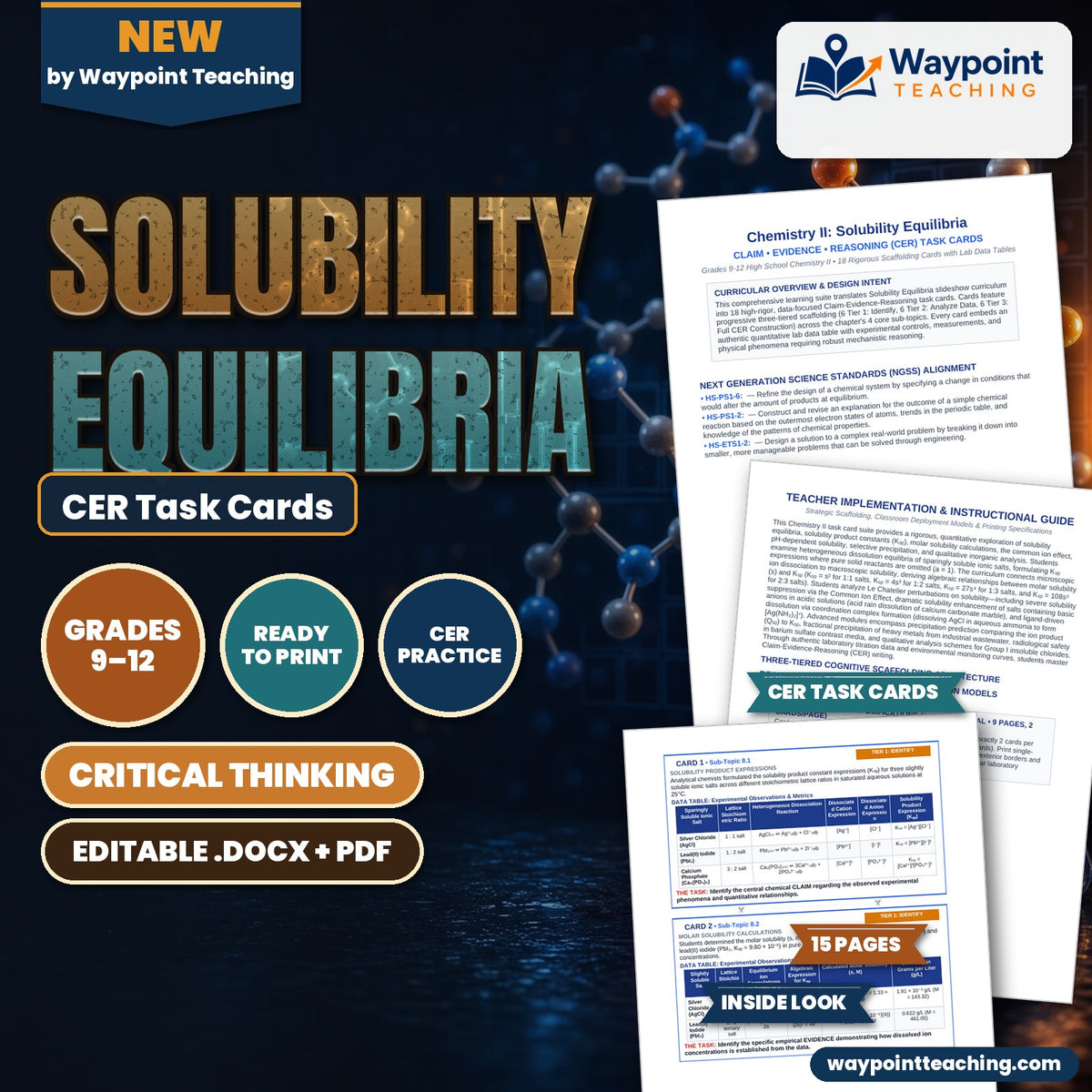 Solubility Equilibria CER Task Cards cover