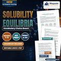 Solubility Equilibria Vocabulary Choice Board cover