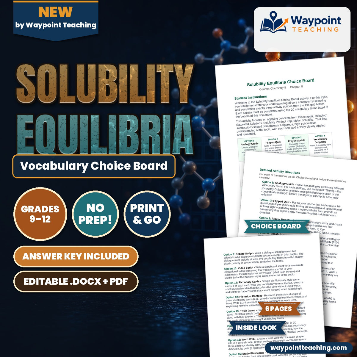 Solubility Equilibria Vocabulary Choice Board cover