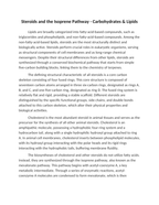 Steroids and the Isoprene Pathway Reading Worksheet sample page