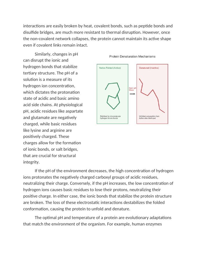 The Impact of pH and Temperature on Protein Denaturation Reading Worksheet sample page