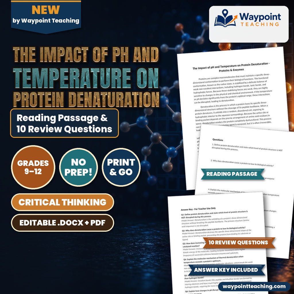 The Impact of pH and Temperature on Protein Denaturation Reading Worksheet cover