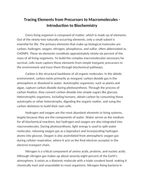 Tracing Elements from Precursors to Macromolecules Reading Worksheet sample page