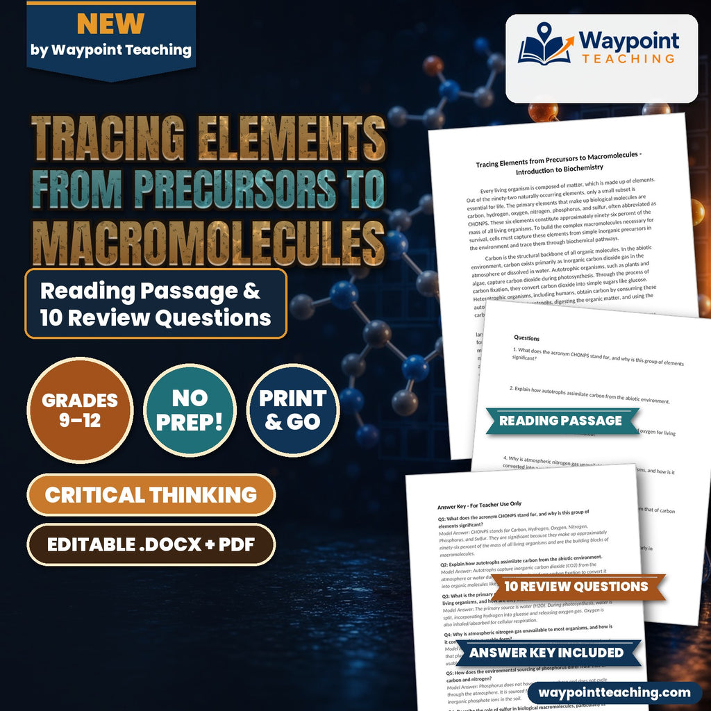 Tracing Elements from Precursors to Macromolecules Reading Worksheet cover
