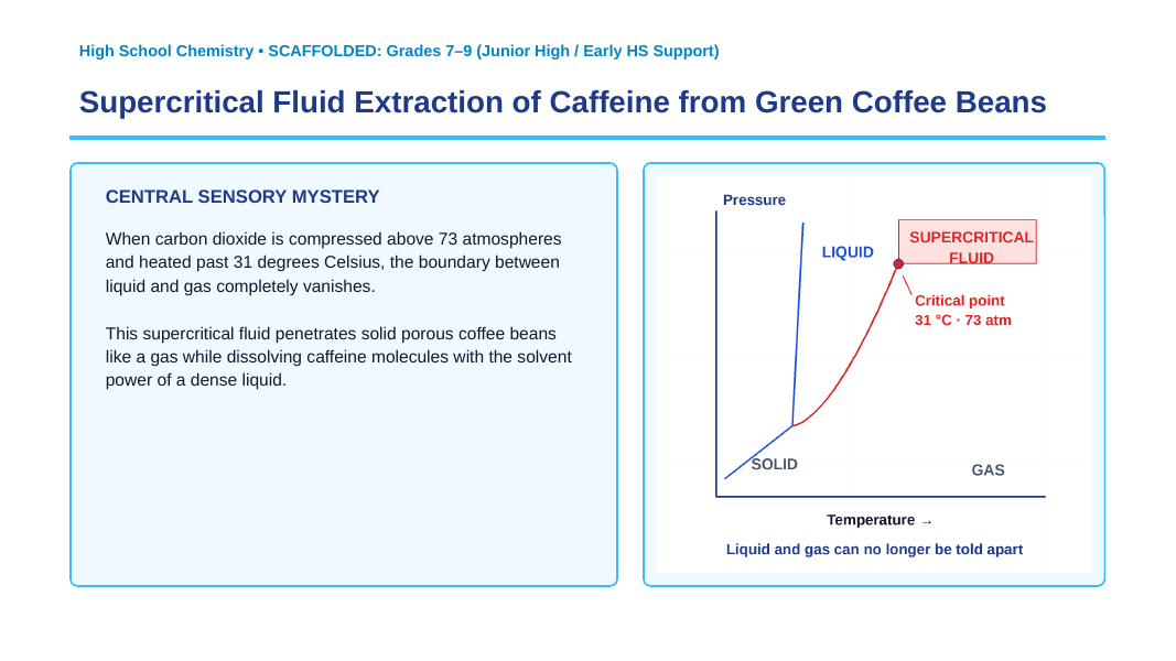Matter: Properties, Classification, & Changes Scaffolded Phenomena-Based Lesson: Supercritical Fluid Extraction of Caffeine from Green Coffee Beans Presentation sample page