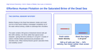 Mixtures, Solutions, & Solubility Phenomena-Based Lesson: Effortless Human Flotation on the Saturated Brine of the Dead Sea Presentation sample page