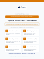 Reaction Rates & Chemical Kinetics Project-Based Learning Activity sample page