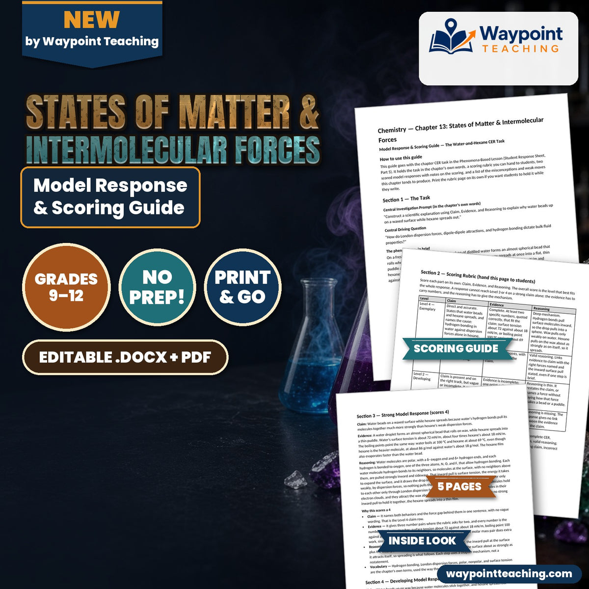 States of Matter & Intermolecular Forces Model Response & Scoring Guide cover