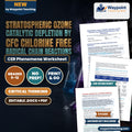 Stratospheric Ozone Catalytic Depletion by CFC Chlorine Free Radical Chain Reactions CER Phenomena Worksheet cover