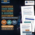 Supercritical Carbon Dioxide Phase Equilibria in Industrial Decaffeination CER Phenomena Worksheet cover