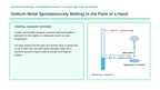 The Periodic Table: Organization & Trends Scaffolded Phenomena-Based Lesson: Gallium Metal Spontaneously Melting in the Palm of a Hand Presentation sample page