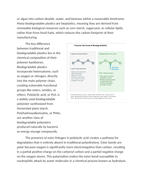 Biodegradable vs. Traditional Plastics in Packaging Reading Worksheet sample page