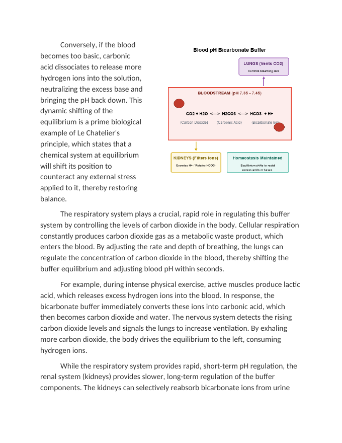 Blood pH Buffers and Human Homeostasis Reading Worksheet sample page
