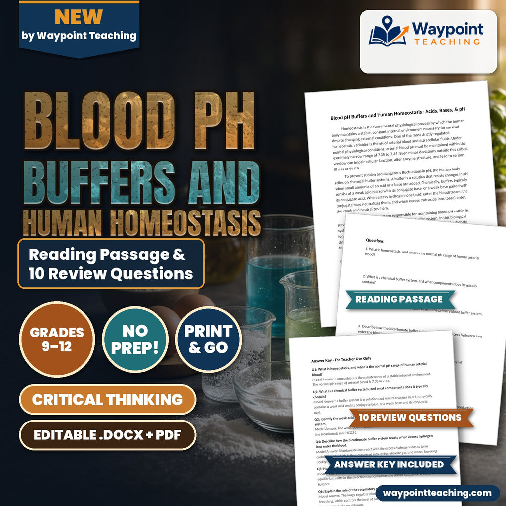 Blood pH Buffers and Human Homeostasis Reading Worksheet cover