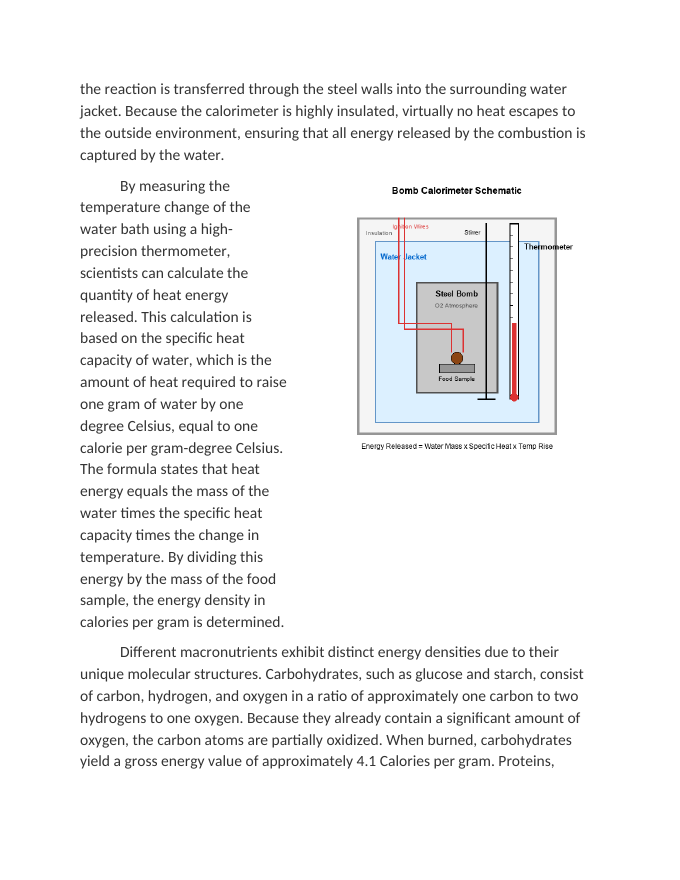 Calculating the Caloric Energy of Macronutrients Reading Worksheet sample page