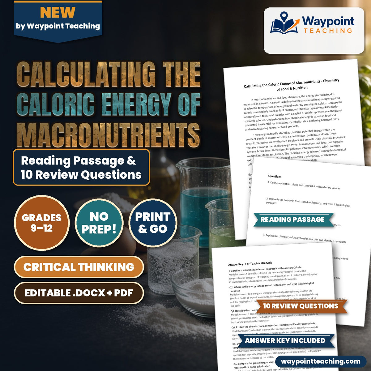 Calculating the Caloric Energy of Macronutrients Reading Worksheet cover