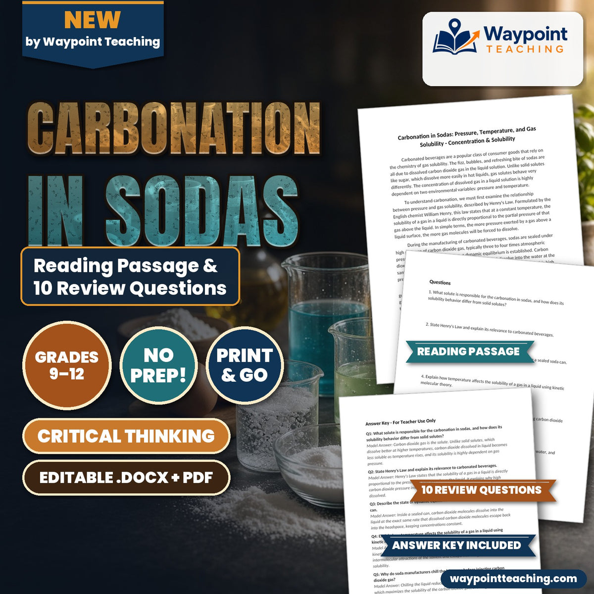 Carbonation in Sodas: Pressure, Temperature, and Gas Solubility Reading Worksheet cover