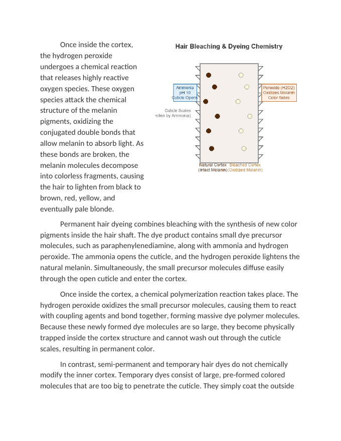 Chemical Processes in Hair Dyeing and Bleaching Reading Worksheet sample page