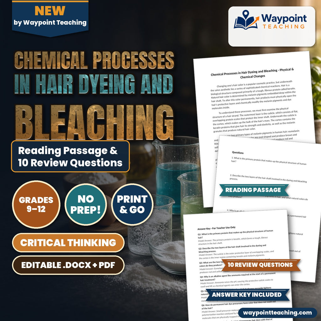 Chemical Processes in Hair Dyeing and Bleaching Reading Worksheet cover