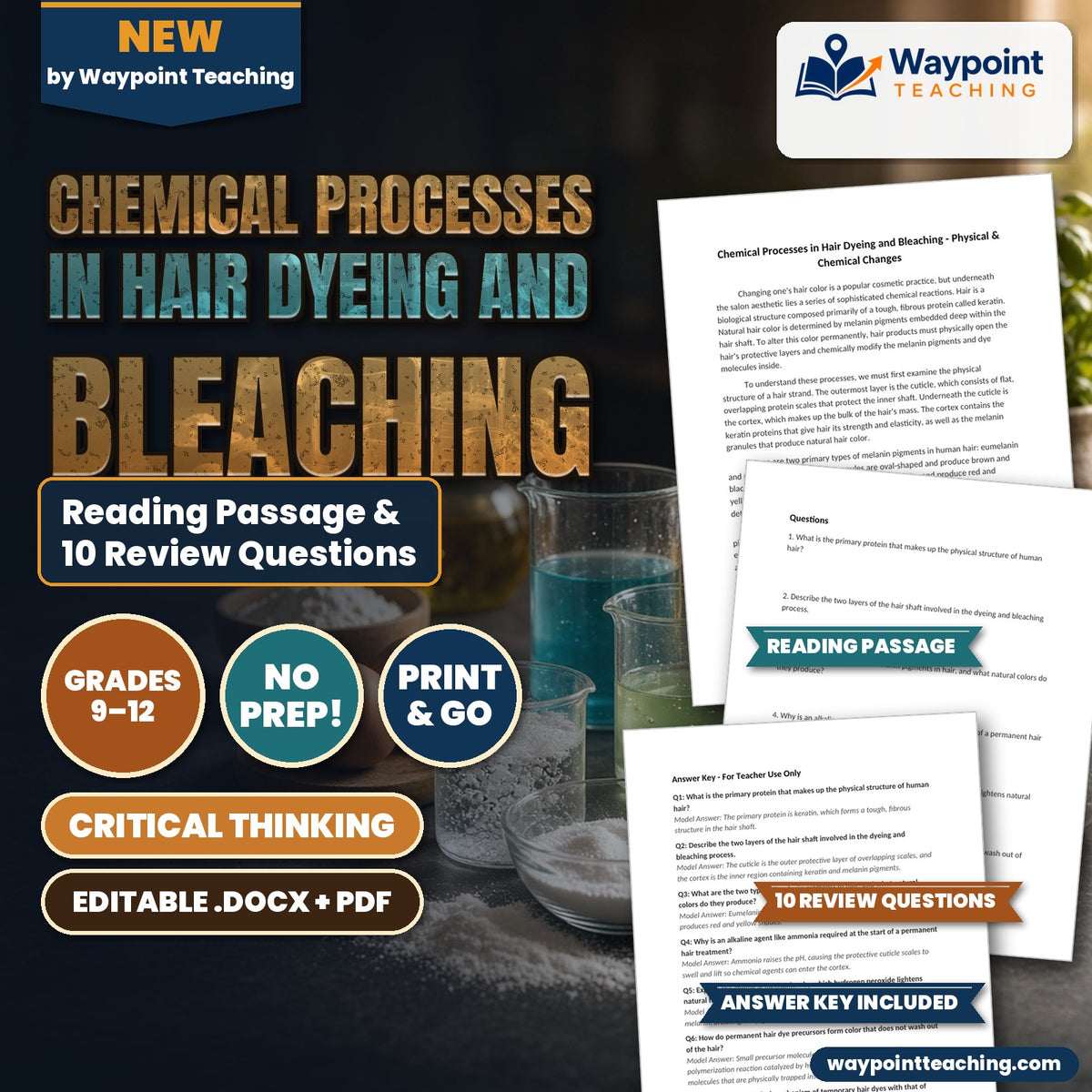 Chemical Processes in Hair Dyeing and Bleaching Reading Worksheet cover