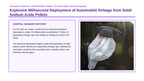 Chemical Reactions & Equations Scaffolded Phenomena-Based Lesson: Explosive Millisecond Deployment of Automobile Airbags from Solid Sodium Azide Pellets Presentation sample page